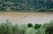 Enlarge photo 178