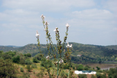 Enlarge photo 194