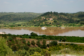 Enlarge photo 198