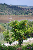 Enlarge photo 203