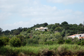 Enlarge photo 207