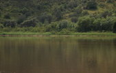 Enlarge photo 208