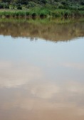Enlarge photo 209