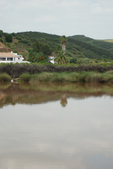 Enlarge photo 214