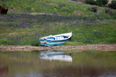 Enlarge photo 216