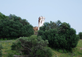 Enlarge photo 218