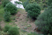 Enlarge photo 219