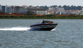 Enlarge photo 225