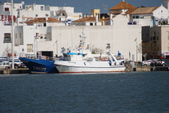 Enlarge photo 226