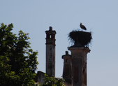 Enlarge photo 228