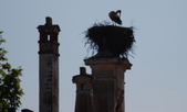 Enlarge photo 229
