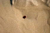 Enlarge photo 230