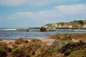 Enlarge photo 231