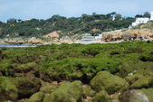 Enlarge photo 233