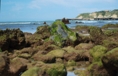 Enlarge photo 234