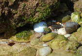 Enlarge photo 237