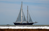 Enlarge photo 240