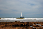 Enlarge photo 242