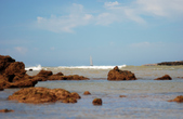 Enlarge photo 244