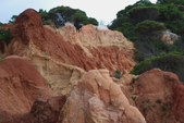 Enlarge photo 247