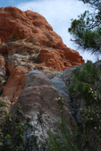 Enlarge photo 256