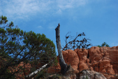 Enlarge photo 257