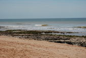 Enlarge photo 260