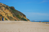Enlarge photo 262