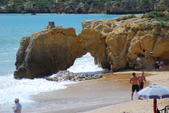 Enlarge photo 263
