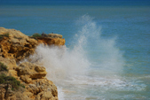 Enlarge photo 264