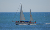 Enlarge photo 265