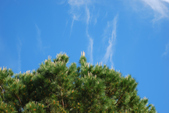 Enlarge photo 268