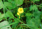 Enlarge photo 275