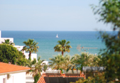 Enlarge photo 279