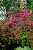 Enlarge photo 281
