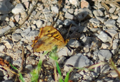 Enlarge photo 282
