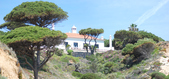 Enlarge photo 294