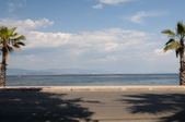 Enlarge photo 41