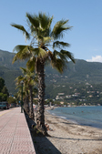 Enlarge photo 44