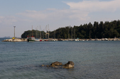 Enlarge photo 48