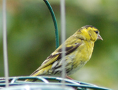 Loch Leven June 2010