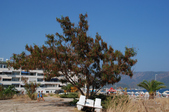 Enlarge photo 20