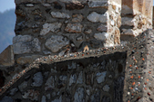 Enlarge photo 33