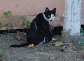 Enlarge photo 78