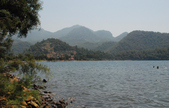Enlarge photo 82