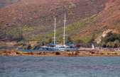 Enlarge photo 83