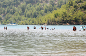 Enlarge photo 84