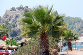 Enlarge photo 85