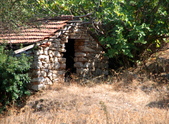 Enlarge photo 115