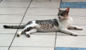 Enlarge photo 125